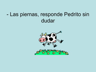 - Las piernas, responde Pedrito sin
dudar

 