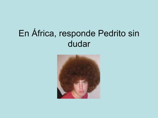 En África, responde Pedrito sin
dudar

 