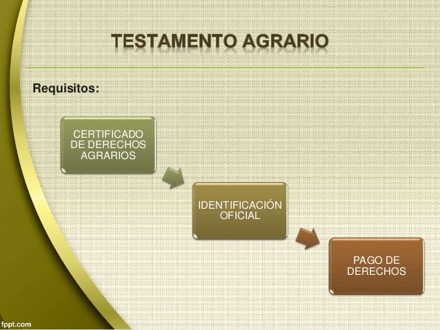 SUCESION AGRARIA