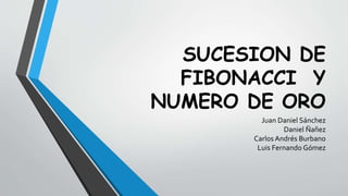 SUCESION DE 
FIBONACCI Y 
NUMERO DE ORO 
Juan Daniel Sánchez 
Daniel Ñañez 
Carlos Andrés Burbano 
Luis Fernando Gómez 
 