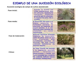 EJEMPLO DE UNA SUCESIÓN ECOLÓGICA
 