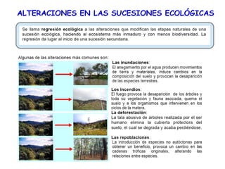 ALTERACIONES EN LAS SUCESIONES ECOLÓGICAS
 