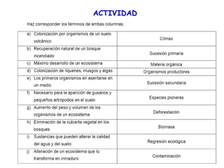 ACTIVIDAD
 