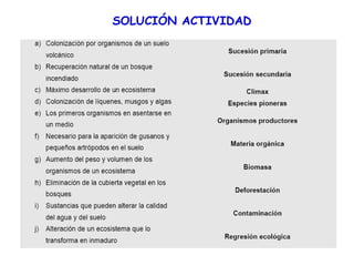 SOLUCIÓN ACTIVIDAD
 