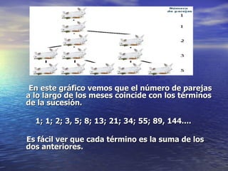 En este gráfico vemos que el número de parejas a lo largo de los meses coincide con los términos de la sucesión. 1; 1; 2; 3, 5; 8; 13; 21; 34; 55; 89, 144.... Es fácil ver que cada término es la suma de los dos anteriores.  
