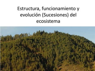 CAMBIAN LOS ECOSISTEMAS
A TRAVÉS DEL TIEMPO
Estructura, funcionamiento y
evolución (Sucesiones) del
ecosistema
 