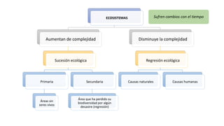 ECOSISTEMAS
Aumentan de complejidad
Sucesión ecológica
Primaria
Áreas sin
seres vivos
Secundaria
Área que ha perdido su
biodiversidad por algún
desastre (regresión)
Disminuye la complejidad
Regresión ecológica
Causas naturales Causas humanas
Sufren cambios con el tiempo
 