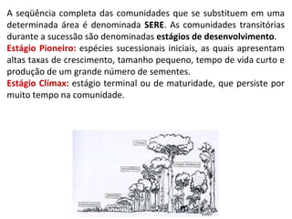 A seqüência completa das comunidades que se substituem em uma determinada área é denominada  SERE . As comunidades transitórias durante a sucessão são denominadas  estágios de desenvolvimento . Estágio Pioneiro:  espécies sucessionais iniciais, as quais apresentam altas taxas de crescimento, tamanho pequeno, tempo de vida curto e produção de um grande número de sementes. Estágio Clímax:  estágio terminal ou de maturidade, que persiste por muito tempo na comunidade. 