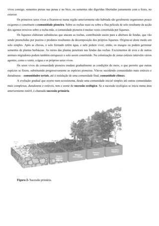 vivos consigo, sementes presas nas penas e no bico, ou sementes não digeridas libertadas juntamente com a fezes, no
exterior.
Os primeiros seres vivos a fixarem se numa região anteriormente não habitada são geralmente organismos pouco
fixarem-se
exigentes e constituem a comunidade pioneira Sobre as rochas nuas ou sobre a fina película de solo resultante da acção
pioneira.
dos agentes erosivos sobre a rocha-mãe, a comunidade pioneira é muitas vezes constituída por líquenes.
mãe,
Os líquenes elaboram substâncias que atacam as rochas, contribuindo assim para a abertura de fendas, que v
vão
sendo preenchidas por poeiras e produtos resultantes da decomposição dos próprios líquenes. Origina deste modo um
Origina-se
solo simples. Após as chuvas, o solo formado retém água, e nele podem viver, então, os musgos ou podem germinar
sementes de plantas herbáceas. As raízes das plantas penetram nas fendas das rochas. Excrementos de aves e de outros
áceas.
animais migradores podem também enriquecer o solo assim constituído. Na colonização de zonas estéreis intervêm vários
agentes, como o vento, a água e os próprios s
seres vivos.
Os seres vivos da comunidade pioneira mudam gradualmente as condições do meio, o que permite que outras
espécies se fixem, substituindo progressivamente as espécies pioneiras. Vão se sucedendo comunidades mais estáveis e
Vão-se
duradouras – comunidades seriais, até à instalação de uma comunidade final, comunidade clímax
,
clímax.
A evolução gradual que ocorre num ecossistema, desde uma comunidade inicial simples até outras comunidades
mais complexas, duradouras e estáveis, tem o nome de sucessão ecológica. Se a sucessão ecológica se inicia numa área
e
anteriormente estéril, é chamada sucessão primária
primária.

Figura 2- Sucessão primária.

 
