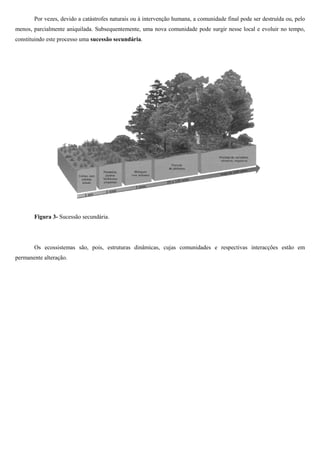 Por vezes, devido a catástrofes naturais ou à intervenção humana, a comunidade final pode ser destruída ou, pelo
menos, parcialmente aniquilada. Subsequentemente, uma nova comunidade pode surgir nesse local e evoluir no tempo,
constituindo este processo uma sucessão secundária
secundária.

Figura 3- Sucessão secundária.

Os ecossistemas são, pois, estruturas dinâmicas, cujas comunidades e respectivas interacções estão em
permanente alteração.

 