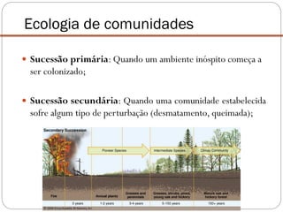  Sucessão primária: Quando um ambiente inóspito começa a
ser colonizado;
 Sucessão secundária: Quando uma comunidade estabelecida
sofre algum tipo de perturbação (desmatamento, queimada);
Ecologia de comunidades
 