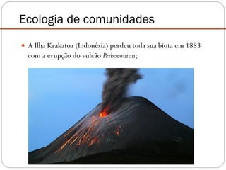  A Ilha Krakatoa (Indonésia) perdeu toda sua biota em 1883
com a erupção do vulcão Perboewatan;
Ecologia de comunidades
 