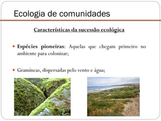 Características da sucessão ecológica
 Espécies pioneiras: Aquelas que chegam primeiro no
ambiente para colonizar;
 Gramíneas, dispersadas pelo vento e água;
Ecologia de comunidades
 