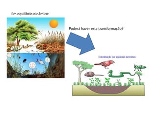 Em equilíbrio dinâmico:Poderá haver esta transformação?