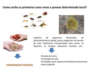 Como serão os primeiros seres vivos a povoar determinado local?espécies de pequenas dimensões, de desenvolvimento rápido, pouco exigentes em termos de solo, facilmente transportados pelo vento: os líquenes, os musgos, pequenos insectos, etc...Erosão da rocha