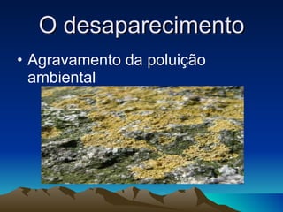 O desaparecimento Agravamento da poluição ambiental 