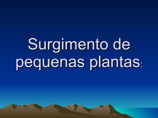 Surgimento de pequenas plantas : 