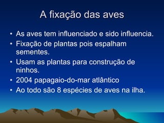 A fixação das aves As aves tem influenciado e sido influencia. Fixação de plantas pois espalham sementes. Usam as plantas para construção de ninhos. 2004 papagaio-do-mar atlântico  Ao todo são 8 espécies de aves na ilha. 