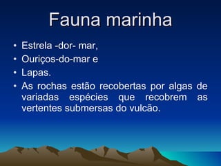 Fauna marinha Estrela -dor- mar, Ouriços-do-mar e Lapas. As rochas estão recobertas por algas de variadas espécies que recobrem as vertentes submersas do vulcão. 
