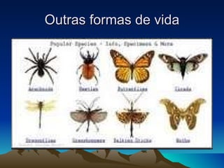 Outras formas de vida 