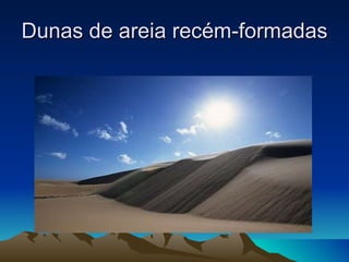 Dunas de areia recém-formadas  