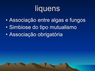 liquens Associação entre algas e fungos Simbiose do tipo mutualismo Associação obrigatória 