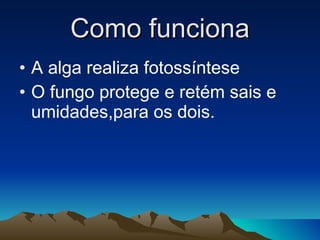 Como funciona A alga realiza fotossíntese O fungo protege e retém sais e umidades,para os dois. 