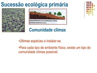 Sucessão ecológica primária Comunidade climax Últimas espécies a instalar-se. Para cada tipo de ambiente físico, existe um tipo de comunidade clímax possível. 