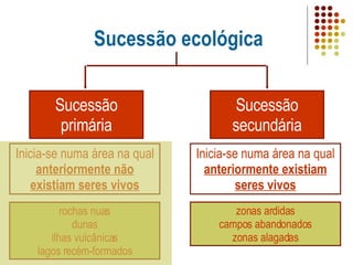 Sucessão ecológica rochas nuas dunas ilhas vulcânicas lagos recém-formados Inicia-se numa área na qual  anteriormente existiam seres vivos Sucessão secundária Sucessão primária Inicia-se numa área na qual  anteriormente não existiam seres vivos zonas ardidas campos abandonados zonas alagadas 