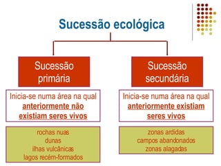 Sucessão ecológica rochas nuas dunas ilhas vulcânicas lagos recém-formados Inicia-se numa área na qual  anteriormente existiam seres vivos Sucessão secundária Sucessão primária Inicia-se numa área na qual  anteriormente não existiam seres vivos zonas ardidas campos abandonados zonas alagadas 