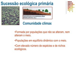 Sucessão ecológica primária Comunidade climax Formada por populações que não se alteram, nem alteram o meio. Populações em equilíbrio dinâmico com o meio. Com elevado número de espécies e de nichos ecológicos. 