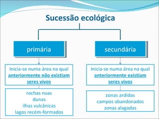 Sucessão ecológica rochas nuas dunas ilhas vulcânicas lagos recém-formados Inicia-se numa área na qual  anteriormente existiam seres vivos secundária primária Inicia-se numa área na qual  anteriormente não existiam seres vivos zonas ardidas campos abandonados zonas alagadas 