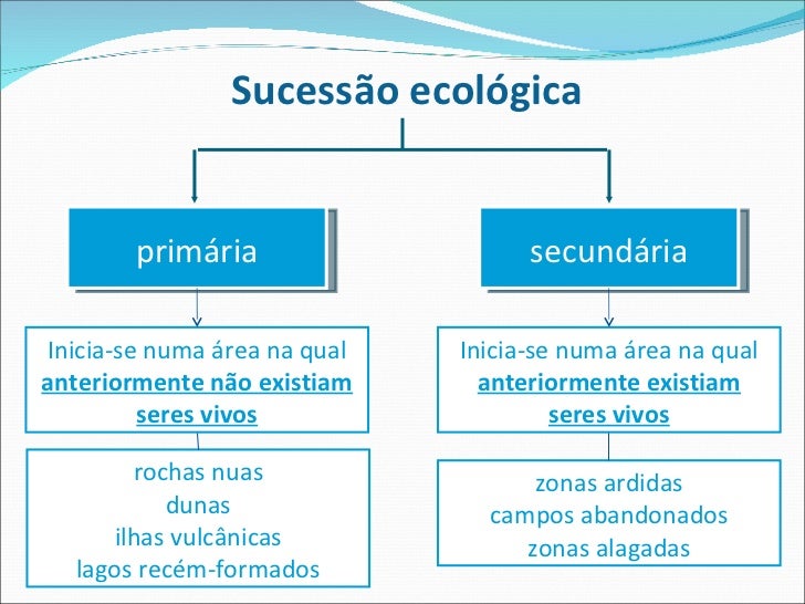 Uma Diferença Entre Sucessão Primária E Sucessão Secundária é