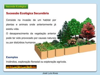 Sucessão EcológicaSucessãoEcológicaSecundáriaConsistenainvasão de um habitat porplantas e animaisondeanteriormentejáexistiuvida.O desaparecimentodavegetação anterior podetersidoprovocadoporcausasnaturaisoupordistúrbioshumanos.ExemplosIncêndios, exploraçãoflorestalouexploraçãoagrícola.José Luís Alves