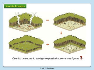 Sucessão EcológicaQue tipo de sucessão ecológica é possível observar nas figurasJosé Luís Alves