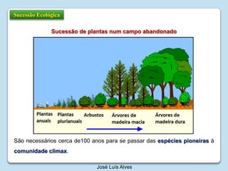 Sucessão EcológicaSucessão de plantas num campo abandonadoSão necessários cerca de100 anos para se passar das espécies pioneiras à comunidade clímax.José Luís Alves