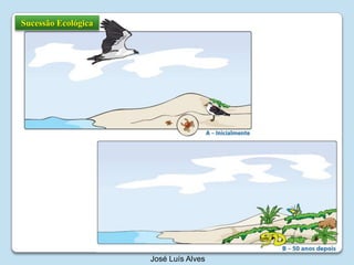 Sucessão EcológicaJosé Luís Alves