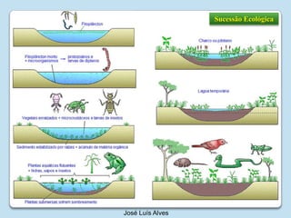 Sucessão EcológicaJosé Luís Alves