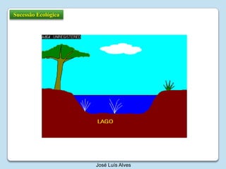 Sucessão EcológicaJosé Luís Alves