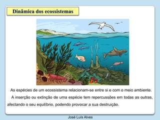 Dinâmica dos ecossistemasAs espécies de um ecossistema relacionam-se entre si e com o meio ambiente. A inserção ou extinção de uma espécie tem repercussões em todas as outras, afectando o seu equilíbrio, podendo provocar a sua destruição.José Luís Alves