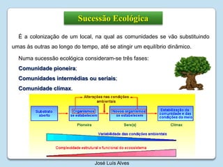 Sucessão EcológicaÉ a colonização de um local, na qual as comunidades se vão substituindo umas às outras ao longo do tempo, até se atingir um equilíbrio dinâmico.Numa sucessão ecológica consideram-se três fases:Comunidade pioneira;Comunidades intermédias ou seriais;Comunidade clímax.José Luís Alves