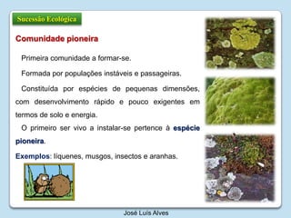 Sucessão EcológicaComunidade pioneira Primeira comunidade a formar-se.Formada por populações instáveis e passageiras.Constituída por espécies de pequenas dimensões, com desenvolvimento rápido e pouco exigentes em termos de solo e energia.O primeiro ser vivo a instalar-se pertence à espécie pioneira.Exemplos: líquenes, musgos, insectos e aranhas.José Luís Alves