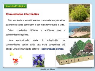 Sucessão EcológicaComunidades intermédias São instáveis e substituem as comunidades pioneiras quando os solos começam a ser mais favoráveis à vida.Criam condições bióticas e abióticas para a comunidade seguinte. Uma comunidade serial é substituída por comunidades seriais cada vez mais complexas até atingir uma comunidade estável - comunidade clímax.José Luís Alves