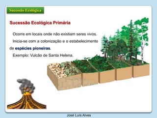 Sucessão EcológicaSucessãoEcológicaPrimáriaOcorreemlocaisondenãoexistiamseresvivos.Inicia-se com a colonização e o estabelecimento de espéciespioneiras. Exemplo: Vulcão de Santa Helena.José Luís Alves
