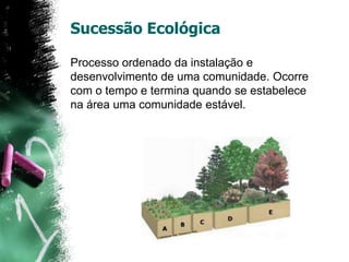 Sucessão EcológicaProcesso ordenado da instalação e desenvolvimento de uma comunidade. Ocorre com o tempo e termina quando se estabelece na área uma comunidade estável.  	