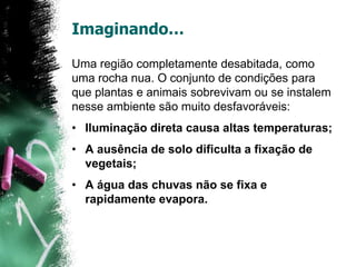 Imaginando…Uma região completamente desabitada, como uma rocha nua. O conjunto de condições para que plantas e animais sobrevivam ou se instalem nesse ambiente são muito desfavoráveis:Iluminação direta causa altas temperaturas;A ausência de solo dificulta a fixação de vegetais;A água das chuvas não se fixa e rapidamente evapora. 