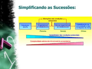 Simplificando as Sucessões: