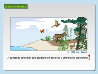 Sucessão EcológicaSucessão EcológicaSucessão EcológicaSucessão Ecológica
A sucessão ecológica que acabaste de observar é primária ou secundária
 