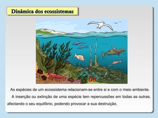 Dinâmica dos ecossistemasDinâmica dos ecossistemasDinâmica dos ecossistemasDinâmica dos ecossistemas
As espécies de um ecossistema relacionam-se entre si e com o meio ambiente.
A inserção ou extinção de uma espécie tem repercussões em todas as outras,
afectando o seu equilíbrio, podendo provocar a sua destruição.
 