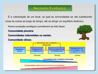 É a colonização de um local, na qual as comunidades se vão substituindo
umas às outras ao longo do tempo, até se atingir um equilíbrio dinâmico.
Numa sucessão ecológica consideram-se três fases:
Comunidade pioneiraComunidade pioneira;
Comunidades intermédias ou seriaisComunidades intermédias ou seriais;
Comunidade clímaxComunidade clímax.
Sucessão EcológicaSucessão EcológicaSucessão EcológicaSucessão Ecológica
 